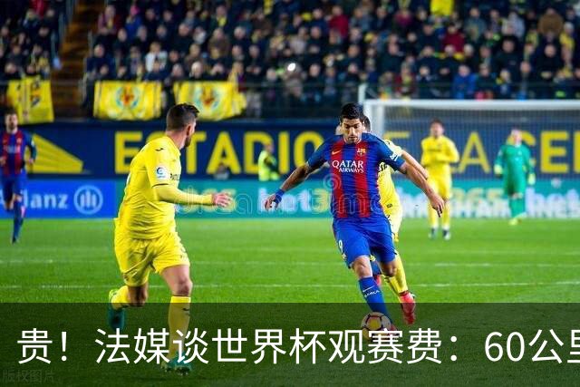 贵！法媒谈世界杯观赛费：60公里火车98美元，有人4天花4500欧元